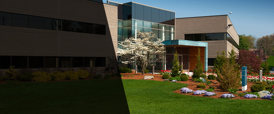 Fairfax Landscapers