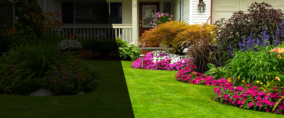 Fairfax Landscapers