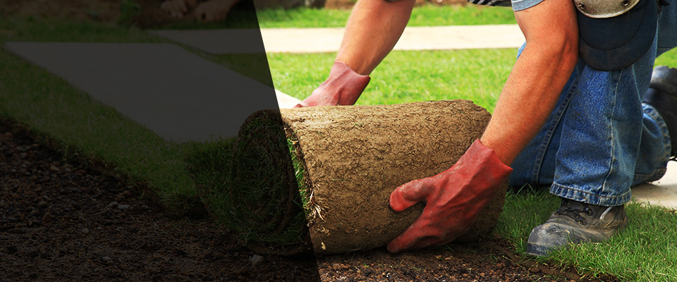 Fairfax Landscapers